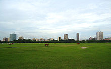 Kolkata skyline no fundo, com cavalos em um campo verde em primeiro plano