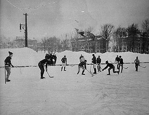 Estima-se que o hockey no gelo tenha surgido no Canadá, entre os Séculos 18  e 19, como adaptação do hóquei no campo durante o inverno rigoroso no país  da América do Norte. As primeiras partidas entre clubes aconteceram ainda  no Século 19. A NHL